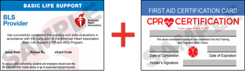 Sample American Heart Association AHA BLS CPR Card Certificaiton and First Aid Certification Card from CPR Certification Salt Lake City