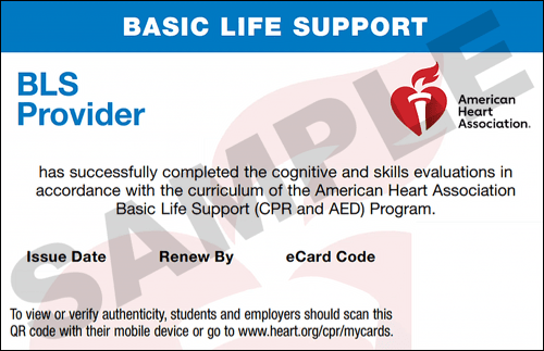 Sample American Heart Association AHA BLS CPR Card Certification from CPR Certification Salt Lake City