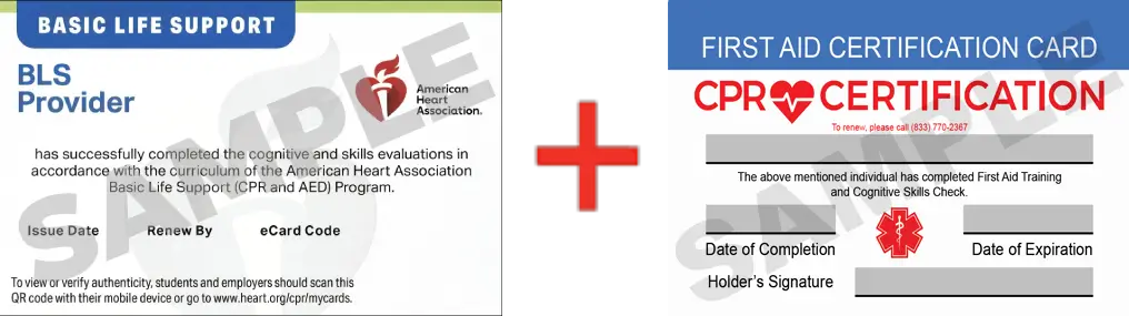Sample American Heart Association AHA BLS CPR Card Certification and First Aid Certification Card from CPR Certification Salt Lake City